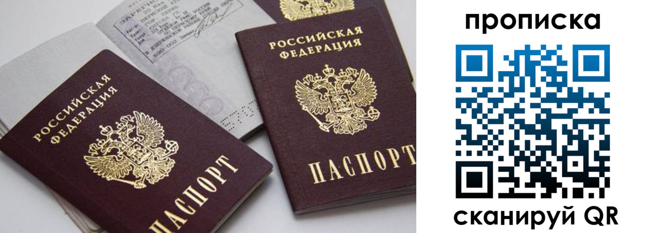 прописка в Калаче-на-Дону